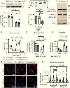 reynolds oriordan science advances