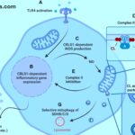 reynolds oriordan science advances