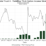 tsly dividend history