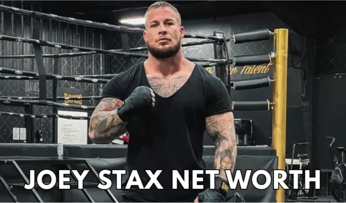 joey stax net worth