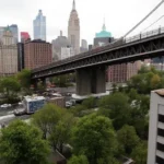 catchalls of the insurance industry NYT